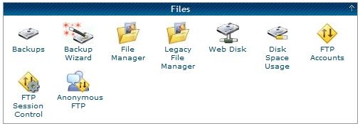 cPanel Files