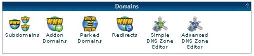 cPanel Domains